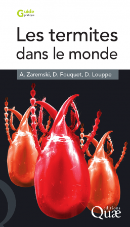 Livre "Les termites dans le monde" de Alba Zaremski,Dominique Louppe et Daniel Fouquet, 2009