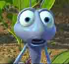 Avatar de l’utilisateur