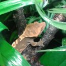 Avatar de l’utilisateur