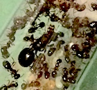 Avatar de l’utilisateur