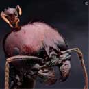 Avatar de l’utilisateur