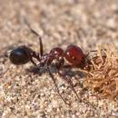 Avatar de l’utilisateur