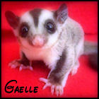 Avatar de l’utilisateur