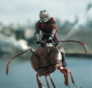 Avatar de l’utilisateur