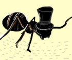 Avatar de l’utilisateur