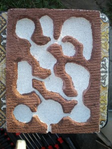 [Q/R] Formica rufibarbis, IMGP1276.JPG