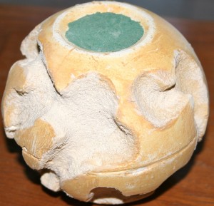 la sphère, Le poulet frit me fout les boules