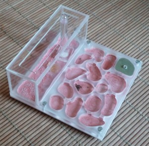 Nid en plexi + semelle, P1060183.JPG