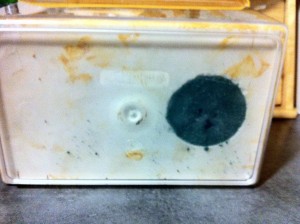 Et un nid de plus..., NidMessorB3.jpg