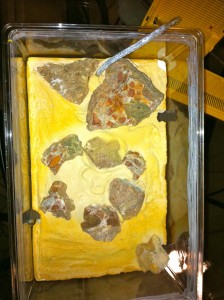 Et un nid de plus..., NidMesorB4.jpg