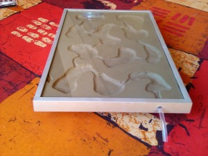 Nid dans un cadre photo deuxième édition :), NID2.jpg