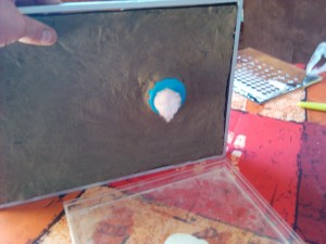 Nid dans un cadre photo deuxième édition :), NID3.jpg