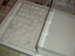 Nid pour Pheidole pallidula., le 18 spetembre 2011 270.JPG