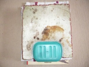 Ma fourmilière en BC, P1150273jpeg.JPG