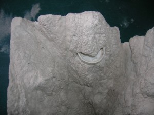 Vue de l'abreuvoir, DOW-O-KAN (seconde fourmilère d'albancocololo)