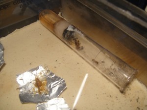 Nouvelle ADC, [Blog] Manica rubida de Boubou