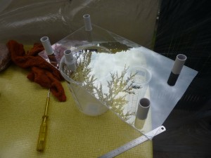 Mon 1er terra pour Formica sanguinea (petit tuto), P1060842.JPG