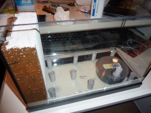 Mon 1er terra pour Formica sanguinea (petit tuto), P1060845.JPG