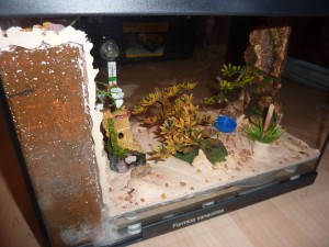 Mon 1er terra pour Formica sanguinea (petit tuto), P1060893.JPG