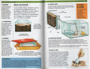 Pillage à la petite cuillère., 001 - Copie.jpg