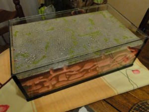 Vue d'ensemble, Camponorium de Hierodimdius