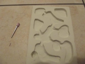 Tuto nid horizontal de M. rubra, DSCF0128.jpg