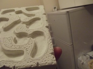 Tuto nid horizontal de M. rubra, DSCF0134.jpg