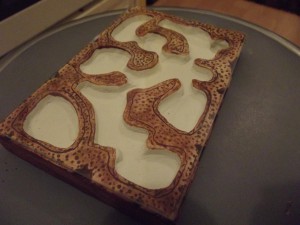 Tuto nid horizontal de M. rubra, DSCF0136.jpg