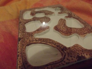 Tuto nid horizontal de M. rubra, DSCF0138.jpg