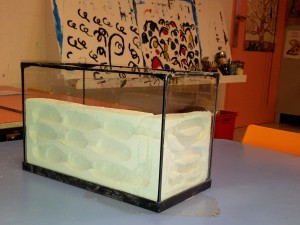 [Blog] Camponotus africaines, sanctus et sp d'Afrique de l'est, 20120202_160326.jpg