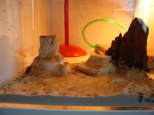 ADC désert, IMG_2534.JPG