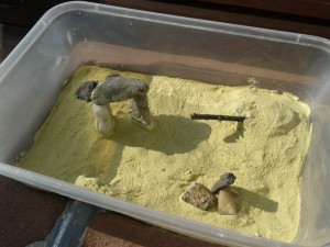 Mon premier nid., 2012-04-12 17.19.37__1334322041_31.32.66.59.jpg