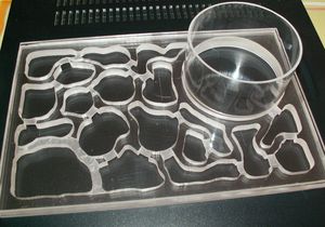 Premiers Nids en Plexi oXyteK, PICT4479.JPG