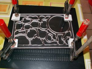 Premiers Nids en Plexi oXyteK, PICT4482.JPG