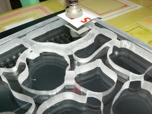 Premiers Nids en Plexi oXyteK, PICT4483.JPG