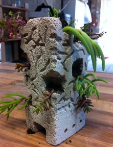 Les nids de Cuioki, Totem 2.jpg