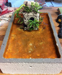 Les nids de Cuioki, Nid 2.jpg