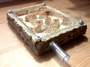 1, Les créations de [ANXE Messor]