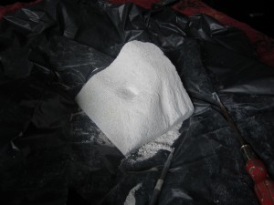 Nid en aquarium de A à Z, IMG_0066'.jpg