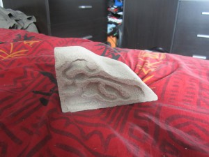 Nid en aquarium de A à Z, IMG_0068'.jpg