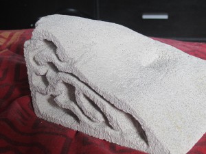 Nid en aquarium de A à Z, IMG_0069'.jpg