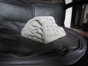 Nid en aquarium de A à Z, IMG_0072'.jpg