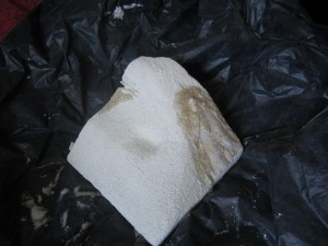 Nid en aquarium de A à Z, IMG_0084'.jpg