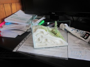 Nid en aquarium de A à Z, IMG_0095'.jpg