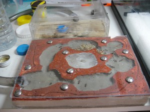 Le nid relié à l'ancienne ADC., [Blog] Manica rubida de Boubou