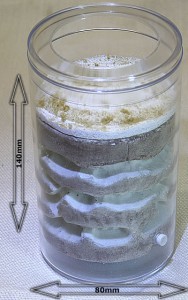 Votre avis concernant le futur nid de ma colonie, Sans titre.jpg