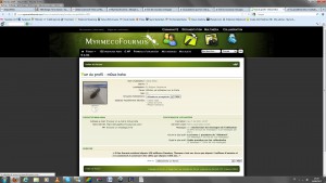 Vos problèmes liés à l'utilisation du site : bug..., problème forum.jpg