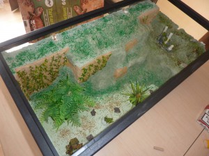 Mon 2eme Terra (XL) pour Camponotus ligniperdus (petit tuto), 09.JPG