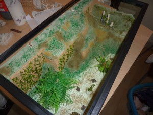 Mon 2eme Terra (XL) pour Camponotus ligniperdus (petit tuto), 10.JPG