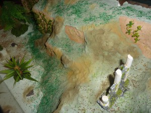 Mon 2eme Terra (XL) pour Camponotus ligniperdus (petit tuto), 12.JPG